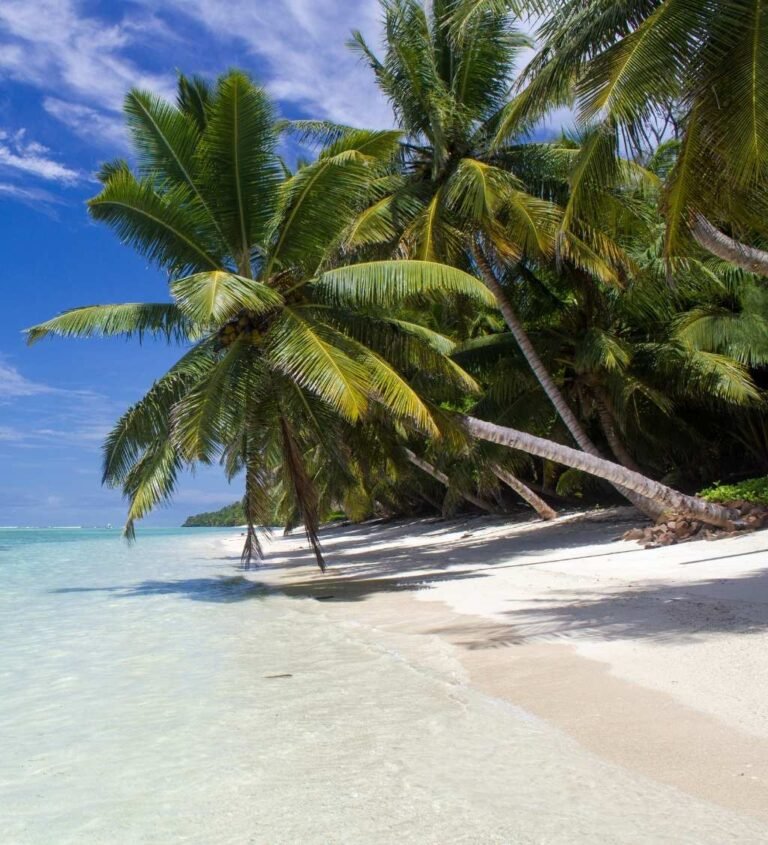 Belle Plage de l'Île Sainte Marie - Madagascar