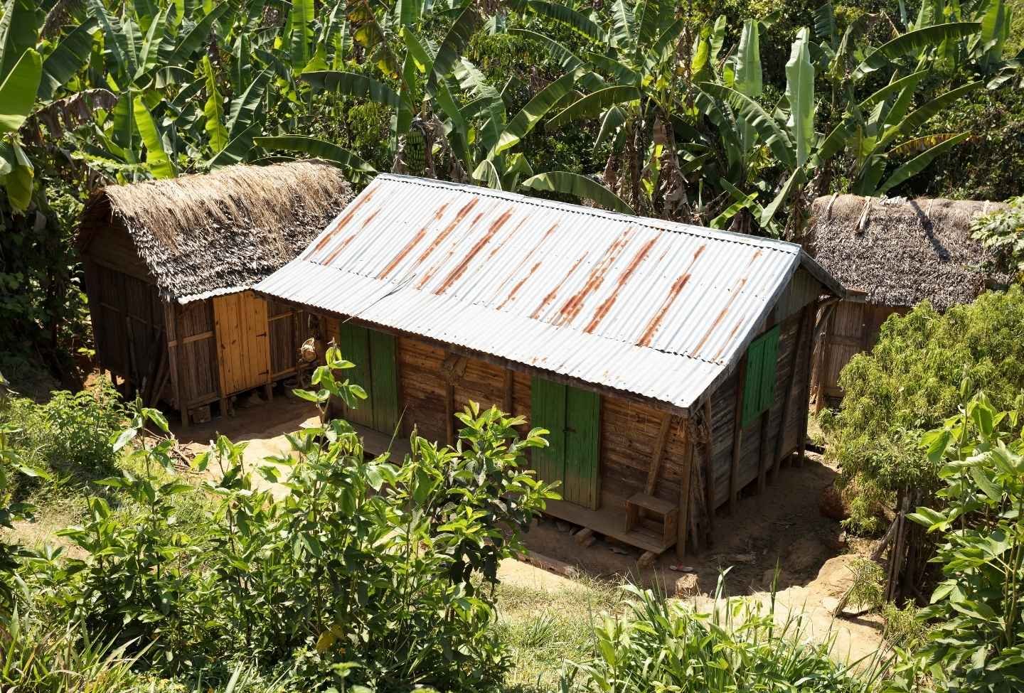 Andasibe Moramanga - Voyage Est Madagascar Andasibe Moramanga - Voyage Est Madagascar