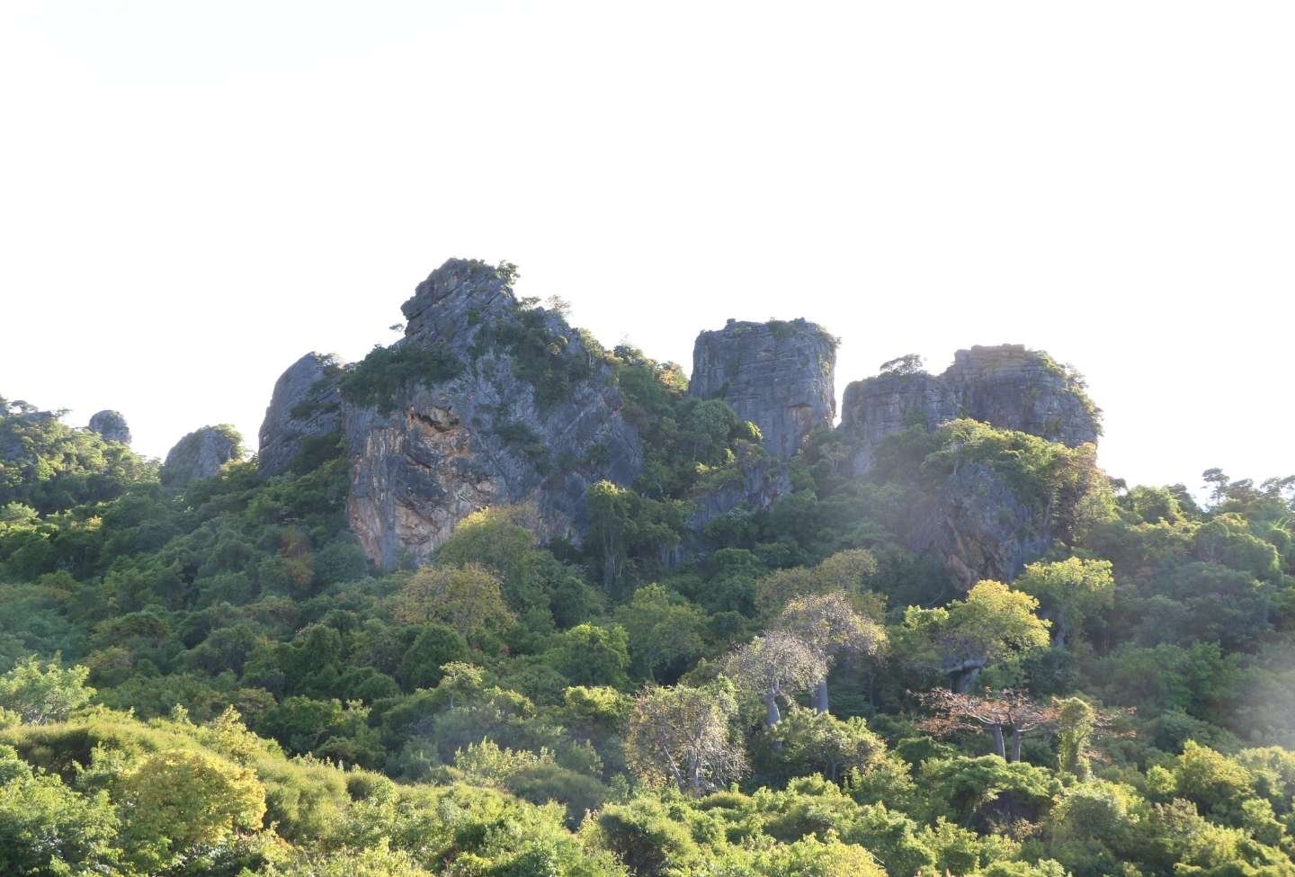 Forêt à Diego Suarez - Voyage Nord Madagascar