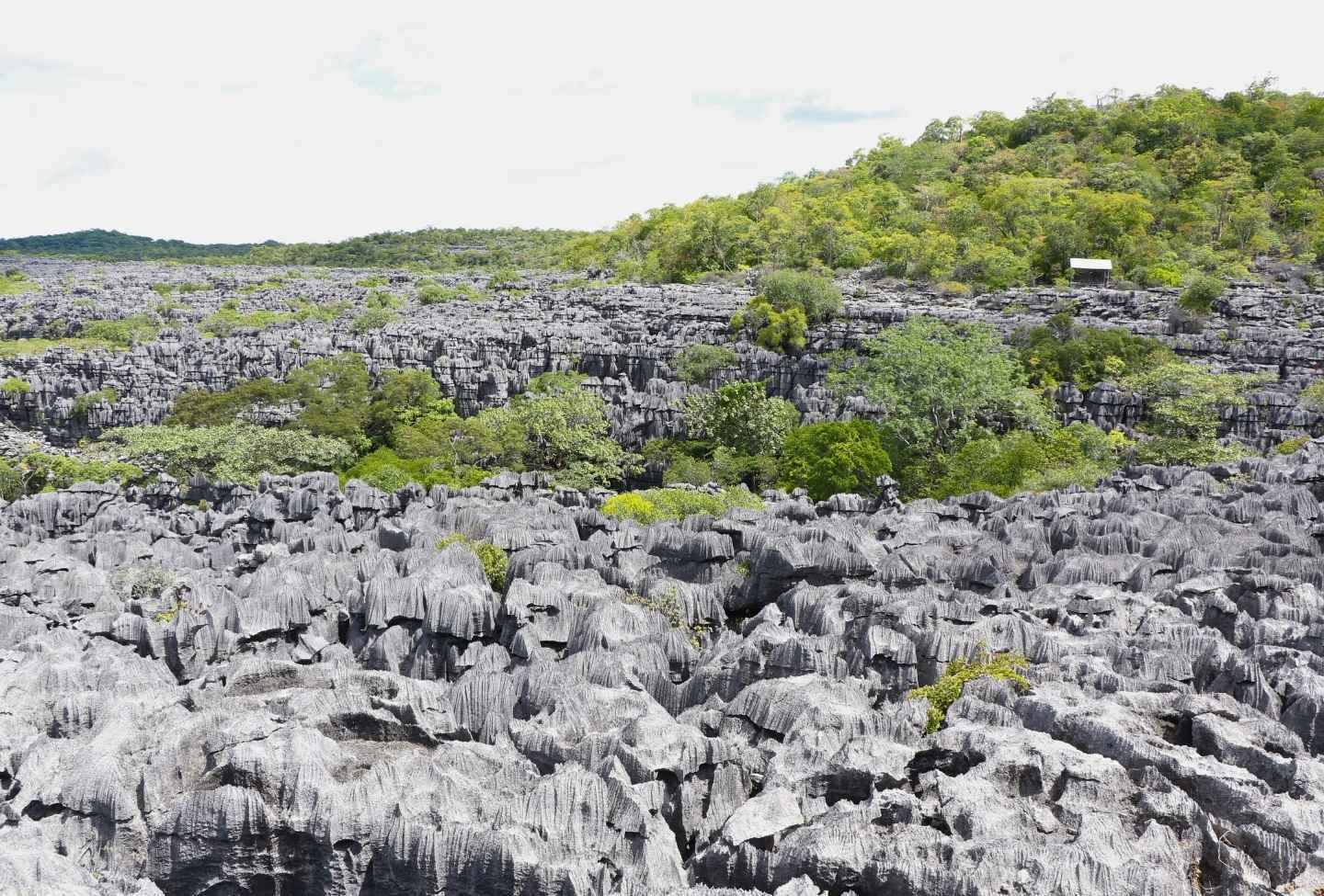 Tsingy Rary du Parc National Ankarana