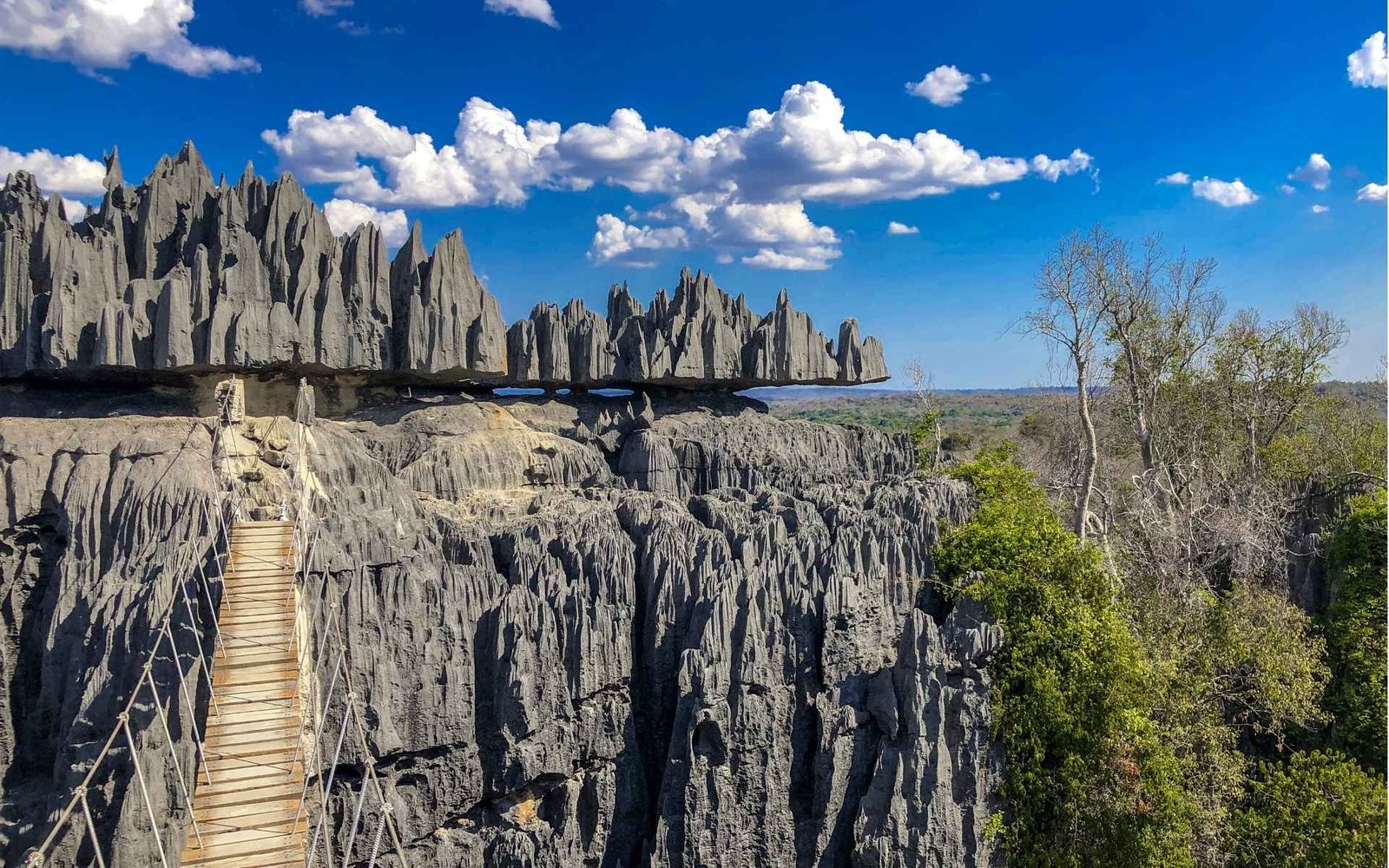 Pont suspendu Tsingy de Bemaraha Vue panoramique des Tsingy de Bemaraha, forêt de pierre de Madagascar