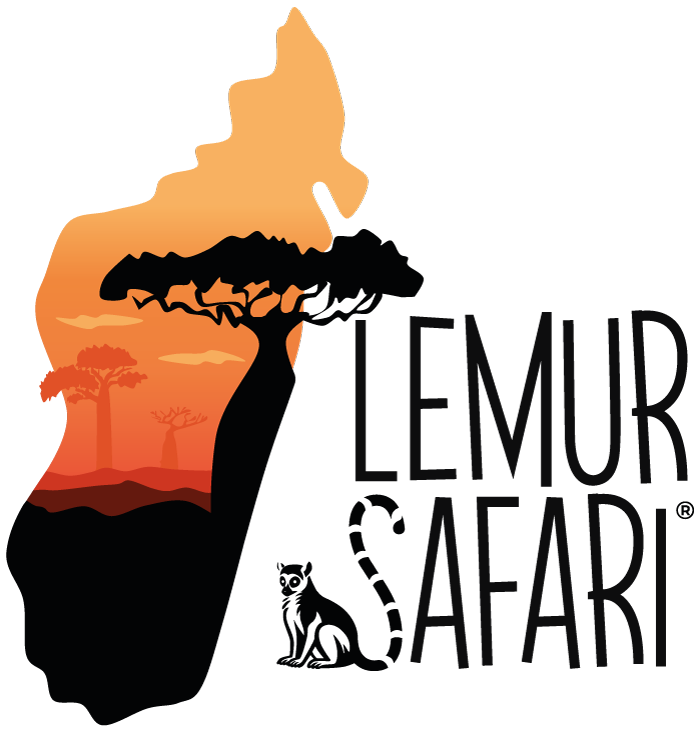 Logo Lemur Safari  - Tour-Opérateur Malgache