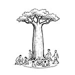 Baobab Madagascar