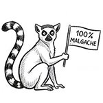 Lémurien Madagascar