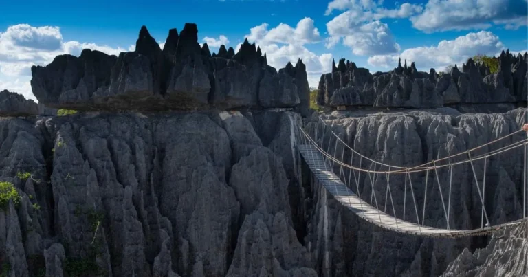 Pinacles calcaires acérés et pont suspendu dans le parc national des Tsingy de Bemaraha, dans l'Ouest de Madagascar