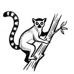 Site et biodiversité